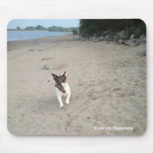 Tapis De Souris Capo von Oppenheim Jack Russell Terrier, Chien