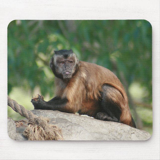 Tapis De Souris Capuchin Singe Mignonne Mais Cranky (Devant)
