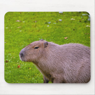 Tapis De Souris Capybara Mousepad