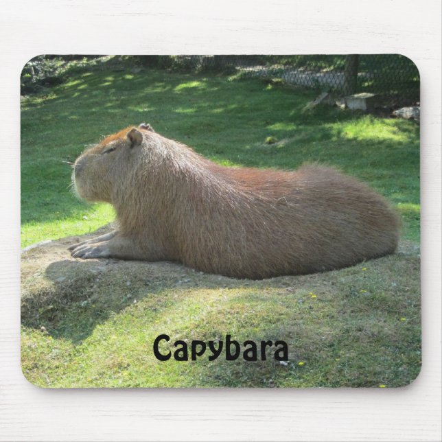 Tapis De Souris Capybara - Rodent géant (Devant)