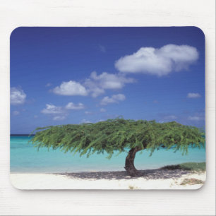 Tapis De Souris Caraïbes, Aruba. Plage d'Eagle