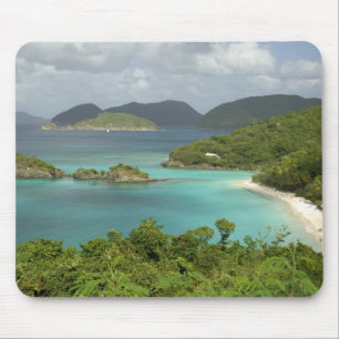 Tapis De Souris Caraïbes, Îles Vierges américaines, St. John, Tron