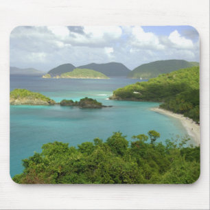 Tapis De Souris Caraïbes, îles Vierges américaines, St. John, Trun