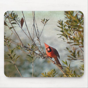 Tapis De Souris Cardinal de Wax Myrtle