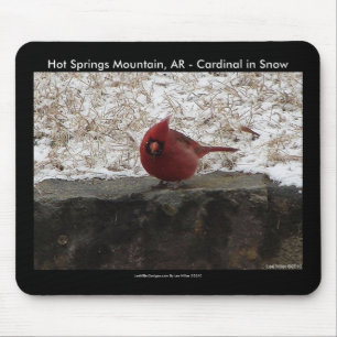 Tapis De Souris Cardinal Hot Springs Nat. Park Mt AR Cadeaux Vêtem