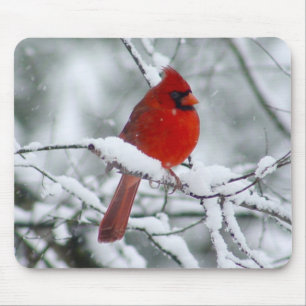 Tapis De Souris Cardinal rouge dans la neige Mousepad