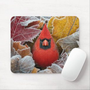 Tapis De Souris Cardinal rouge dans les feuilles d'automne gelées