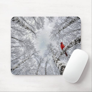 Tapis De Souris Cardinal rouge dans une forêt de bouleaux blancs h