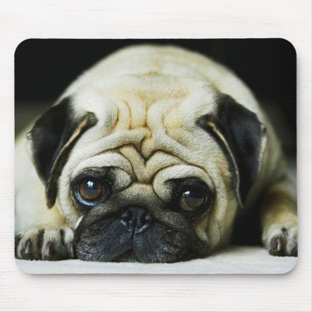 Tapis De Souris Carlin (Devant)