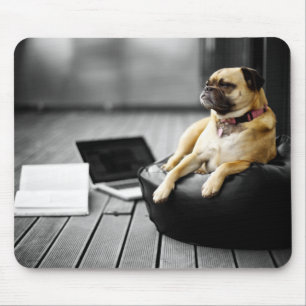 Tapis De Souris Carlin au repos