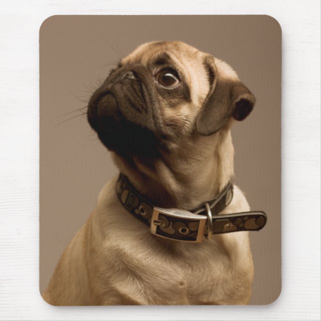 Tapis De Souris Carlin Chien Chien Canin Ordinateur Mousepad (Devant)