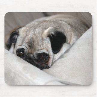Tapis De Souris Carlin songeur