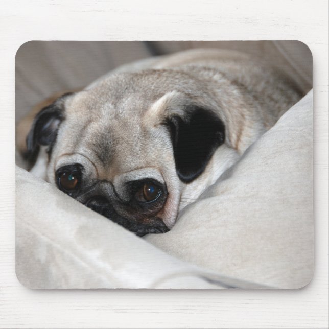 Tapis De Souris Carlin songeur (Devant)