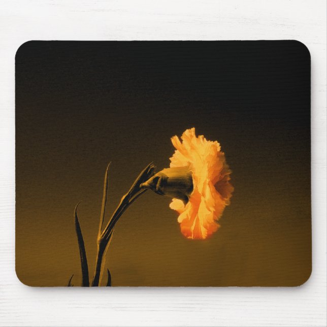Tapis De Souris carnation 2 (Devant)