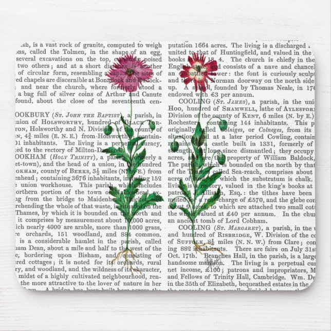 Tapis De Souris Carnation italienne 3 (Devant)