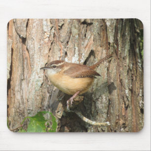 Tapis De Souris Carolina Wren
