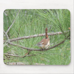 Tapis De Souris Carolina Wren in Pine Tree