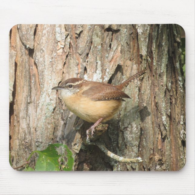 Tapis De Souris Carolina Wren Pad (Devant)