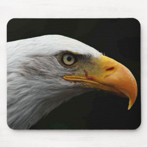 Tapis De Souris carte Bald Eagle