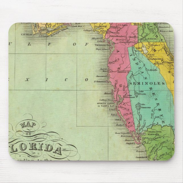 Tapis De Souris Carte de Floride (Devant)