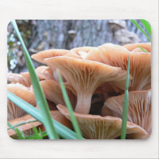 Tapis De Souris Carte de forêt de champignon