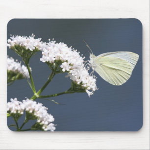 Tapis De Souris Carte de souris blanche Wingder Wonder