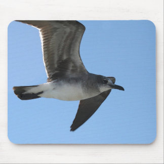 Tapis De Souris Carte de travail de la mouette 1 de la député