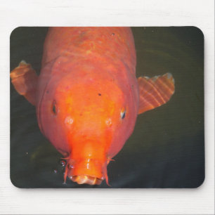 Tapis De Souris Carte postale de poisson orange koi