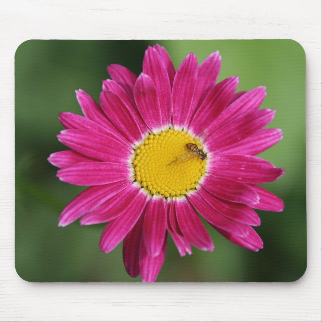 Tapis De Souris Cartes de marguerite peintes et plus (Devant)