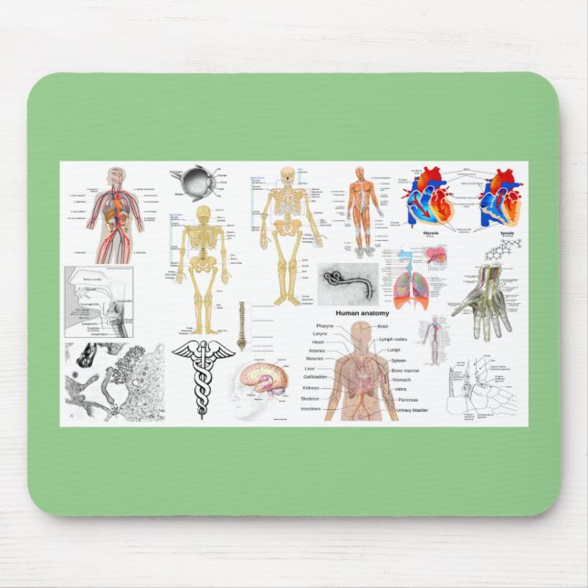 Tapis De Souris Cartes Médicales de l'anatomie humaine (Devant)