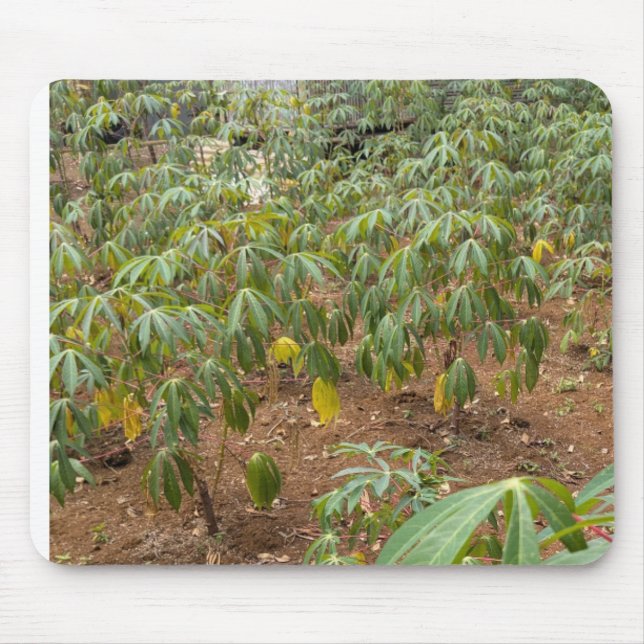 Tapis De Souris Cassava (Devant)
