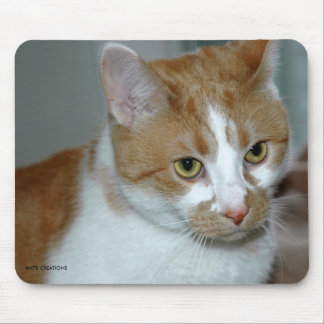 TAPIS DE SOURIS CAT