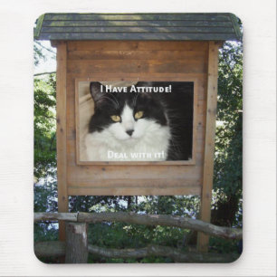 Tapis De Souris Cat Attitude