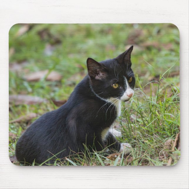 Tapis De Souris Cat Mouse Pad (Devant)