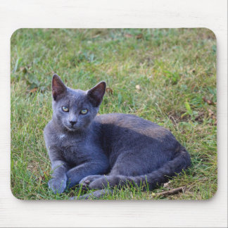 Tapis De Souris Cat Mouse Pad
