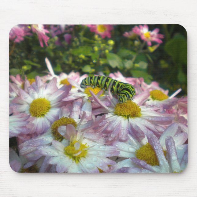 Tapis De Souris Caterpillar et Asters Mousepad (Devant)