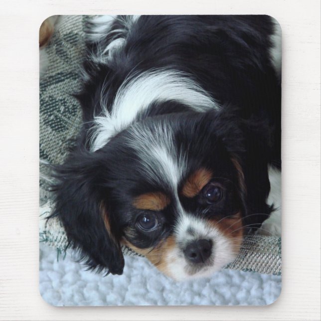 Tapis De Souris Cavalier King Charles Spaniel (Devant)