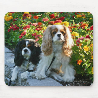 Tapis De Souris Cavaliers et Zinnias Mousepad