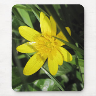 Tapis De Souris celandine