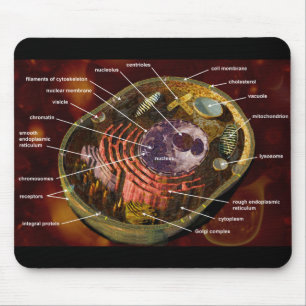 Tapis De Souris Cellule humaine marquée