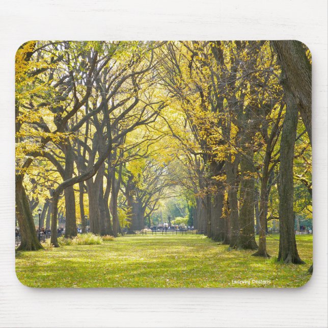 Tapis De Souris Central Park Mousepad (Devant)