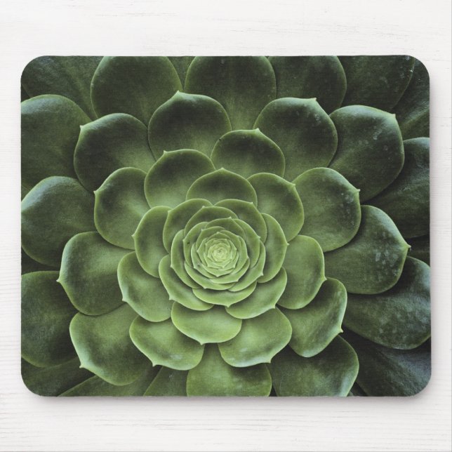Tapis De Souris Centre de cactus (Devant)