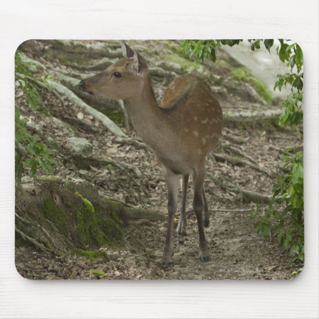 Tapis De Souris Cerf (Devant)