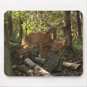Tapis De Souris Cerf et Biche au Parc National de Shenandoah