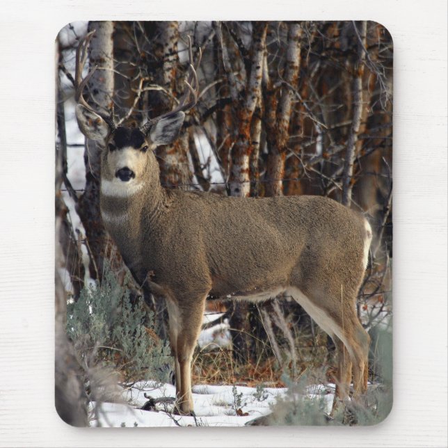Tapis De Souris Cerfs communs de mule, wellsville (Devant)