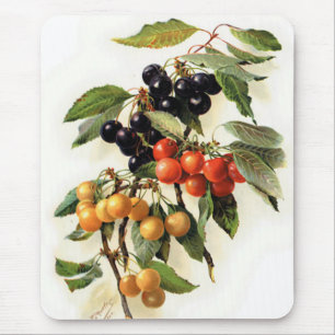 Tapis De Souris Cerises botaniques Imprimer