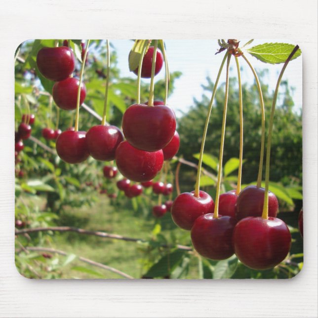 Tapis De Souris Cerises d'été (Devant)