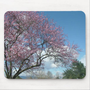 Tapis De Souris Cerisier rose et ciel bleu, nuages blancs