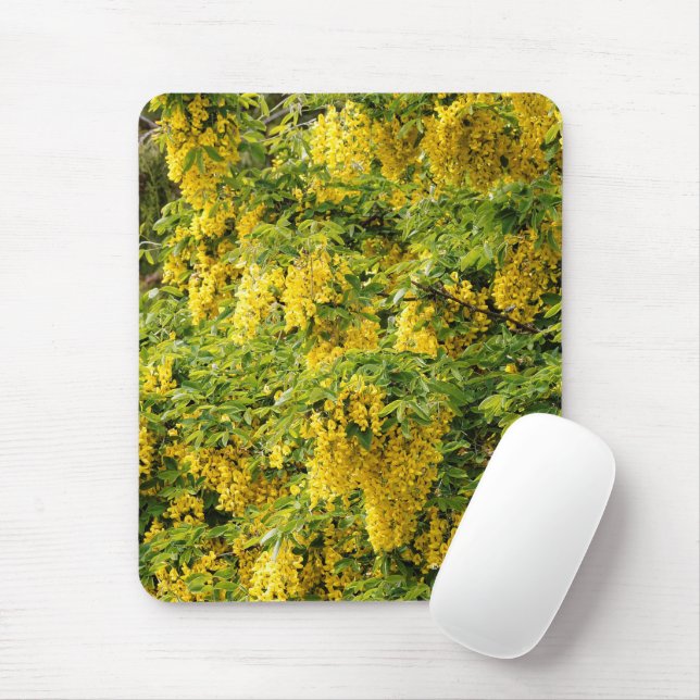 Tapis De Souris Chaîne d'or étonnante / Arbre de laburnum (Avec souris)