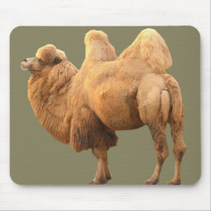 TAPIS DE SOURIS CHAMEAU DE 2 BOSSES